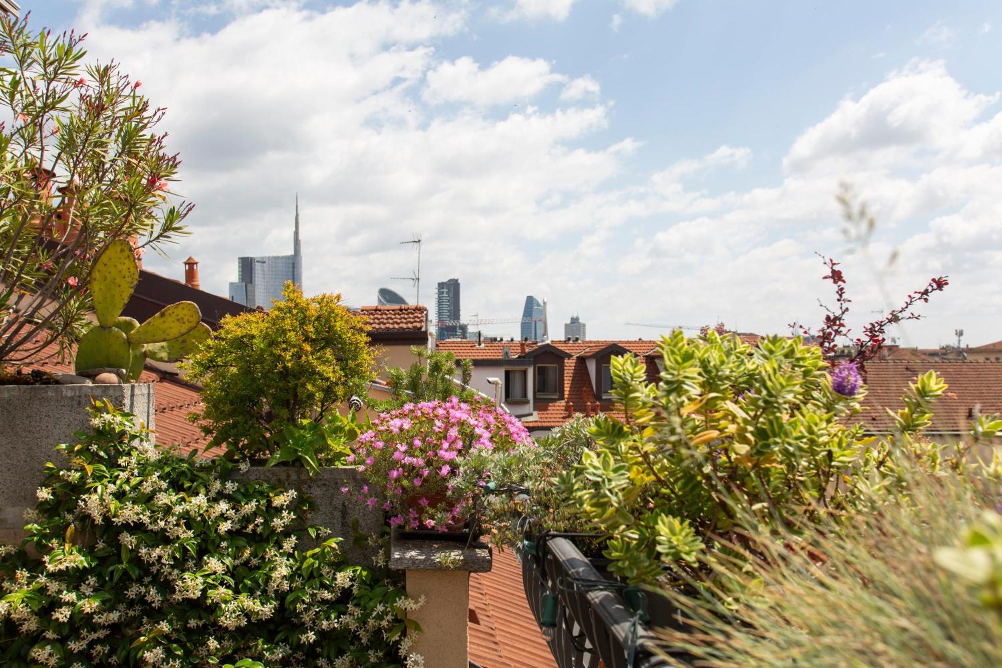 Apartment Sarpi Roof