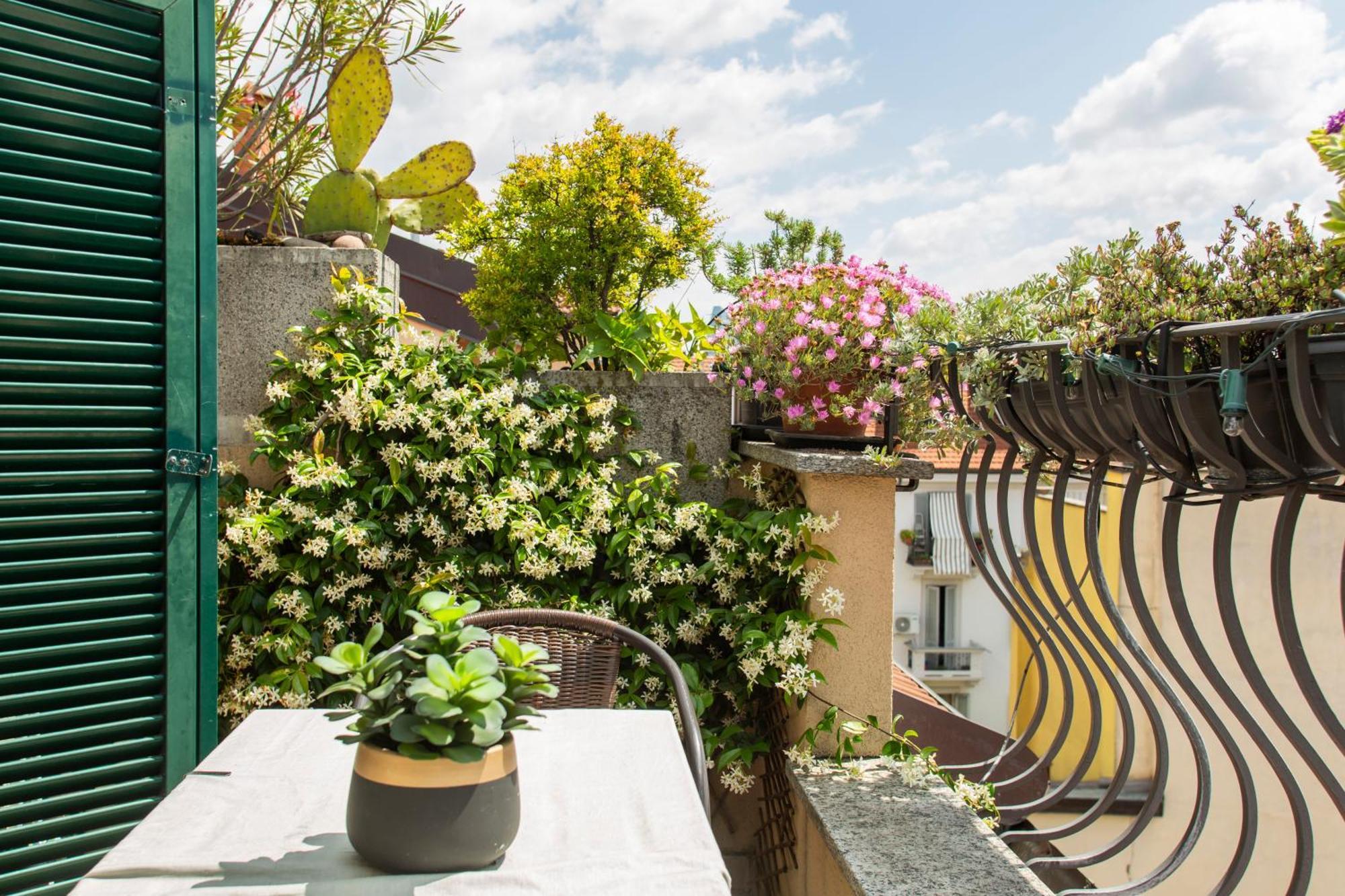 Apartment Sarpi Roof